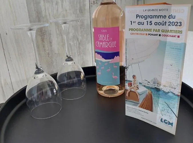 Vue 50 M Du Couchant 1er Ligne Piscine Parking Appartement *